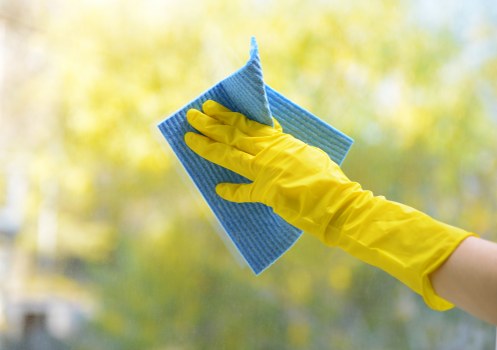 Professional carpet cleaning appointment details and customer booking