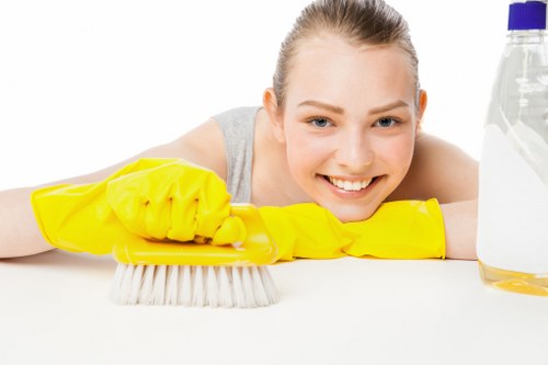 Close-up of upholstery cleaning for pet odour removal in Downham