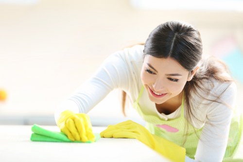 How to request accessibility support for Downham Carpet Cleaners website