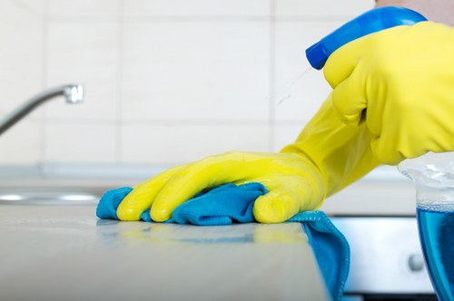 Reviewing carpet cleaning complaint details and service notes