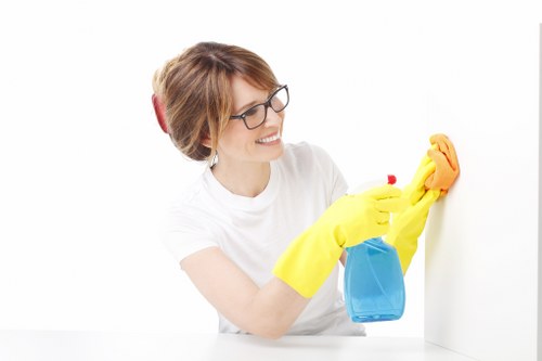 Example of a carpet cleaning job in a local flat or family home